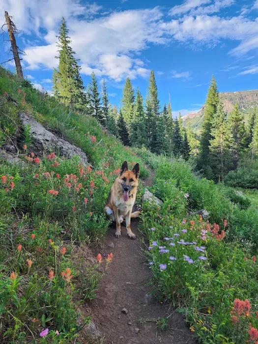 Cutthroat Campground Picture 4