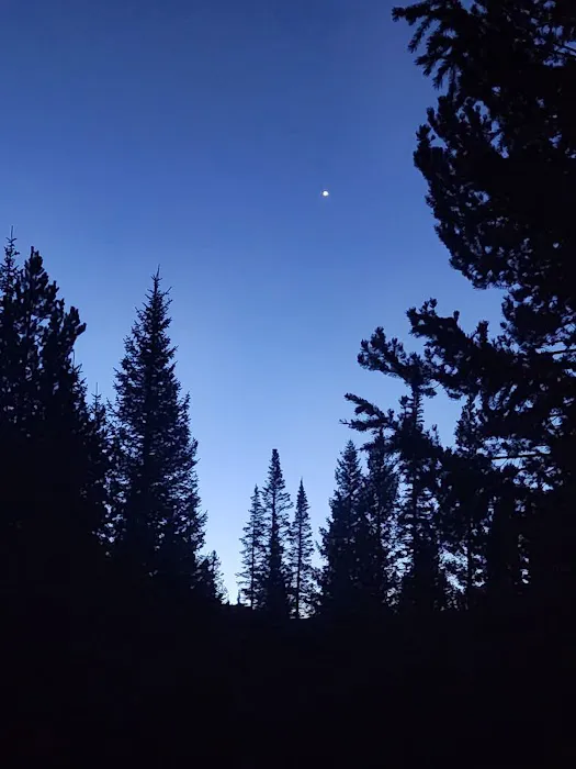Cutthroat Campground Picture 6