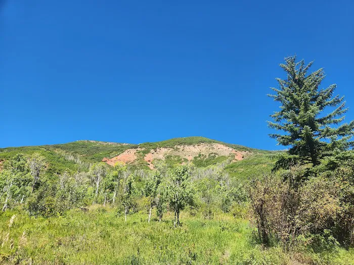 Cutthroat Campground Picture 7