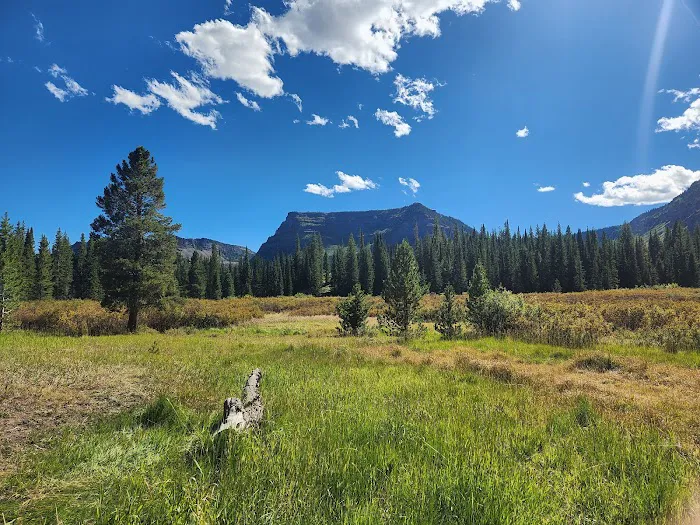 Cutthroat Campground Picture 8