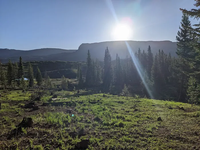 Shepherds Rim Campground Picture 1