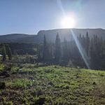 Shepherds Rim Campground