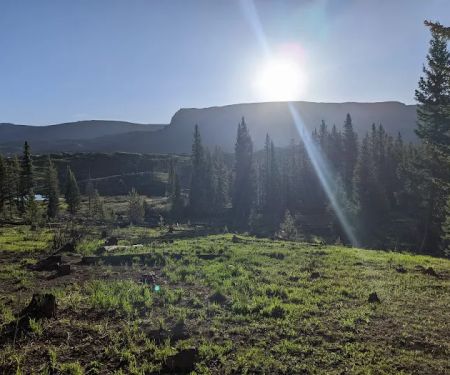Shepherds Rim Campground