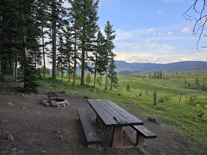 Shepherds Rim Campground Picture 6