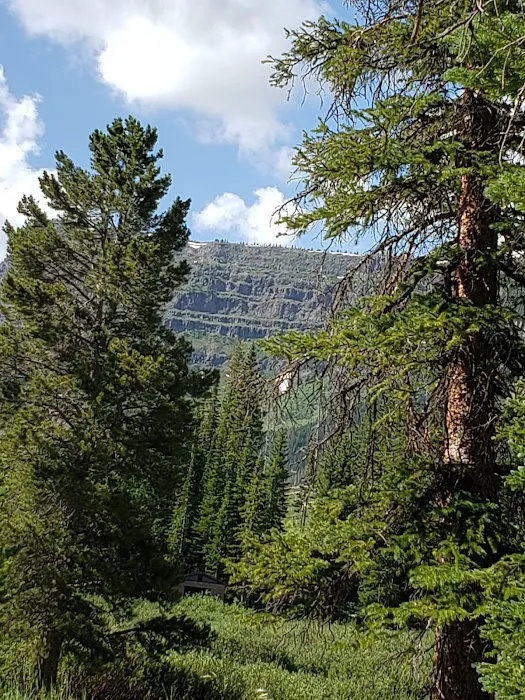 Shepherds Rim Campground Picture 7