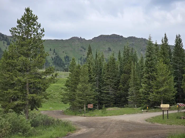 Shepherds Rim Campground Picture 5