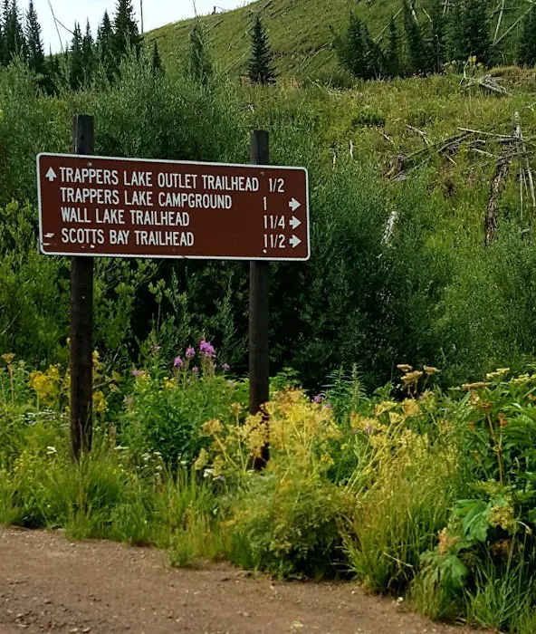 Himes Peak Campground Picture 6