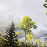 North Fork Campground