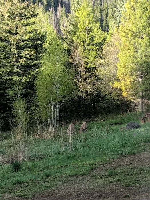 North Fork Campground Picture 6