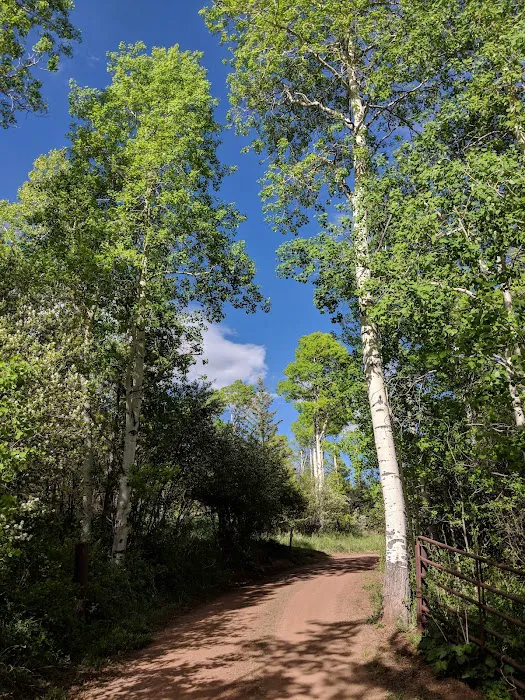 North Fork Campground Picture 8