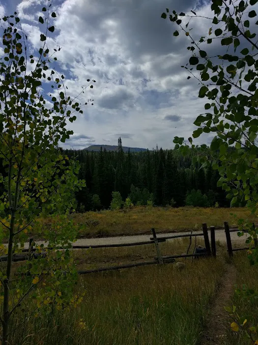 East Marvine Campground Picture 8
