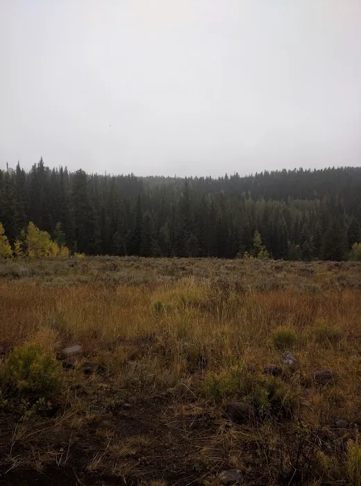 East Marvine Campground Picture 2