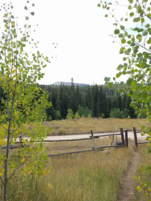 East Marvine Campground Picture 9