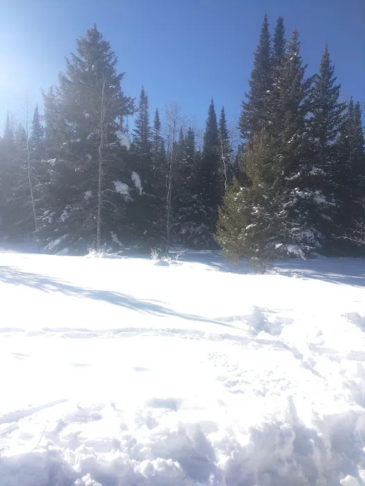 East Marvine Campground Picture 3