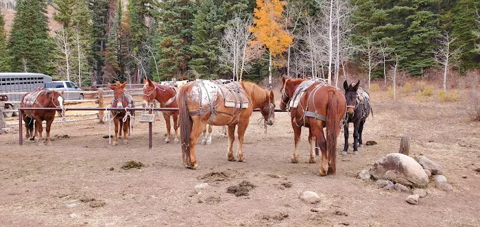 Marvine Campground Picture 4