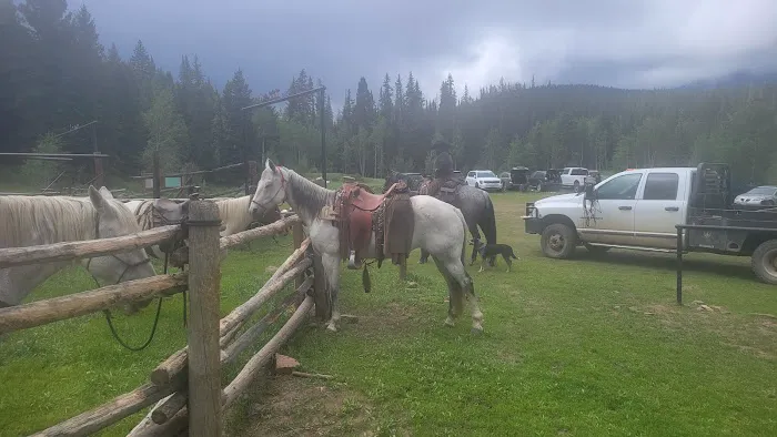 Marvine Campground Picture 6