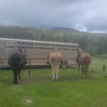 Marvine Campground