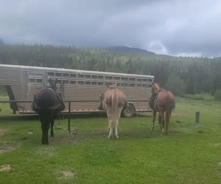 Marvine Campground