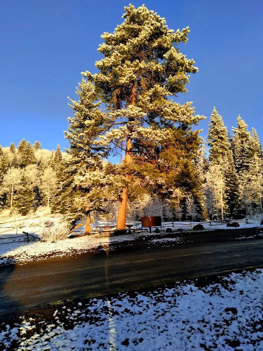 Marvine Campground Picture 7