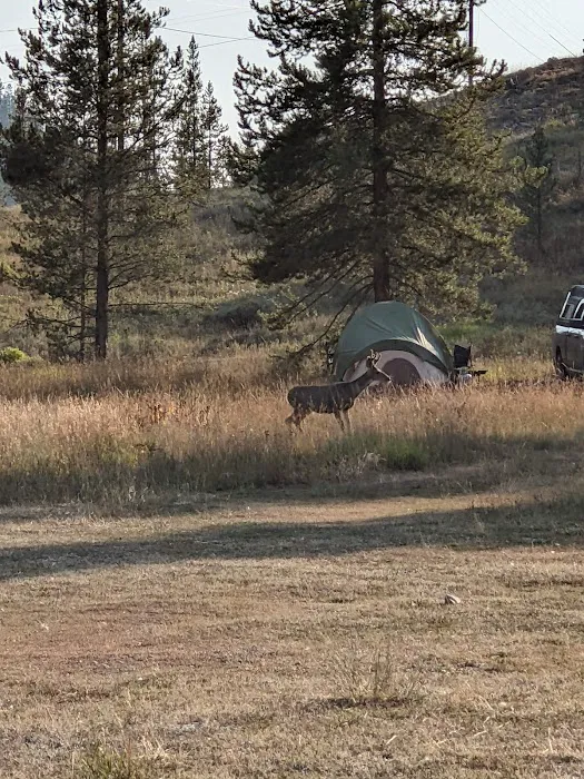 Coulton Creek Campground Picture 2