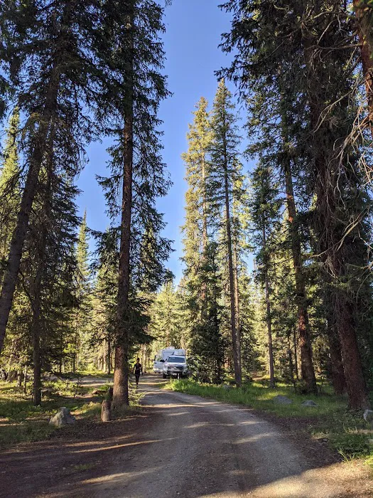 Seedhouse Campground Picture 10