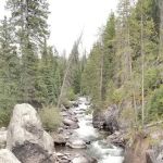 Seedhouse Campground