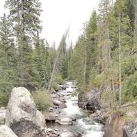 Seedhouse Campground ico