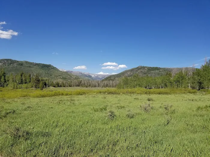 Seedhouse Campground Picture 4