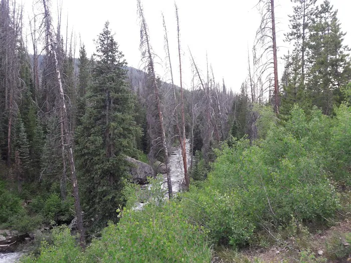 Seedhouse Campground Picture 9