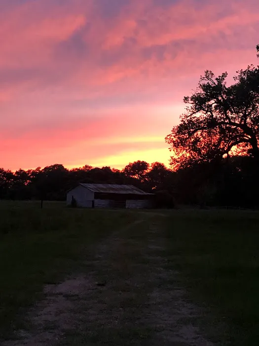 Country Oaks RV Park Picture 2