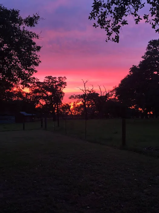 Country Oaks RV Park Picture 1