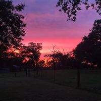 Country Oaks RV Park ico