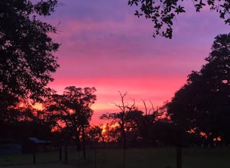 Country Oaks RV Park