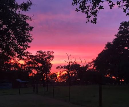 Country Oaks RV Park