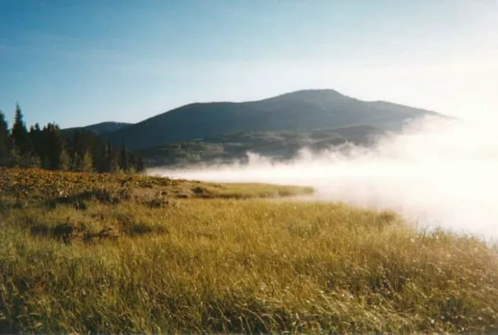 Pearl Lake Campground Picture 2