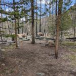 Big South site 2