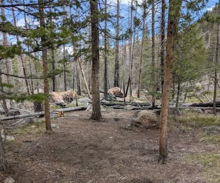 Big South site 2