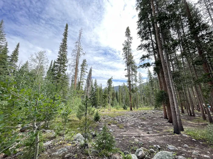 Tunnel Campground Picture 7