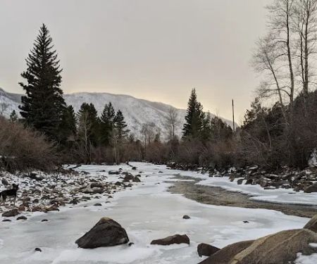 Sleeping Elephant Campground