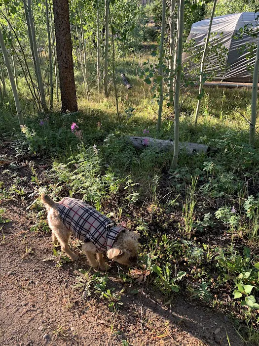 Browns Park Campground Picture 7