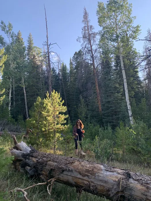 Browns Park Campground Picture 3
