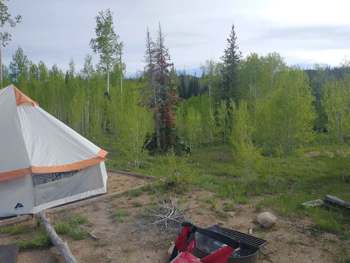 Browns Park Campground Picture 10