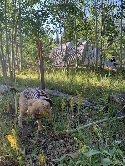Browns Park Campground Picture 6