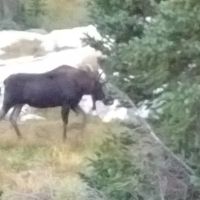 Mirror Lake ico