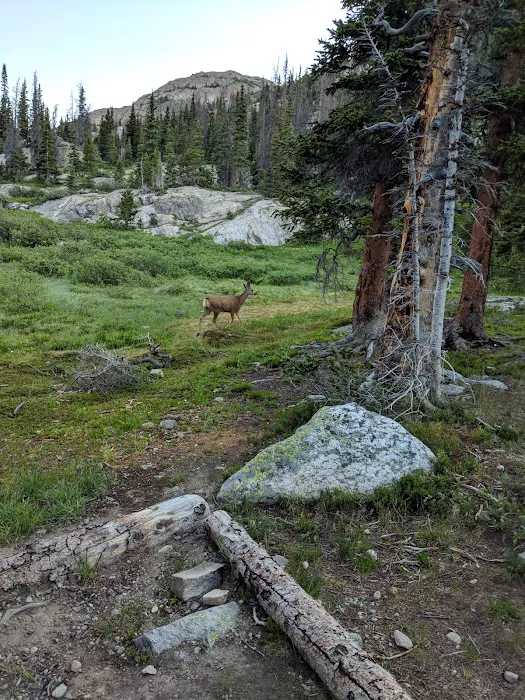 Mirror Lake Picture 8