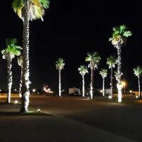 Bay Palms RV Resorts ico