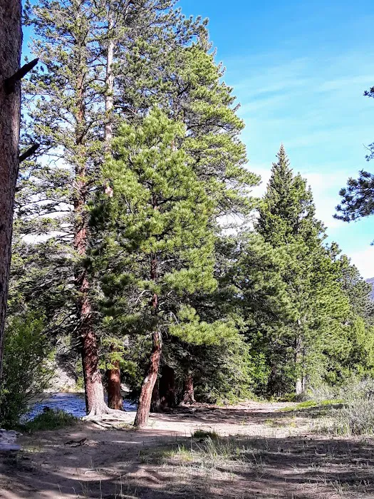 Big Bend Campground Picture 6