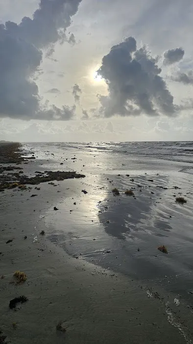 Sandpiper RV Resort Picture 7