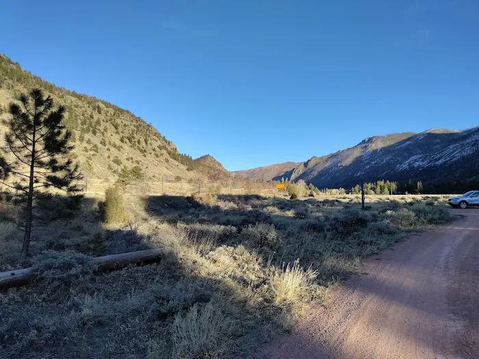 Big Bend Sheep Viewing Area Picture 5