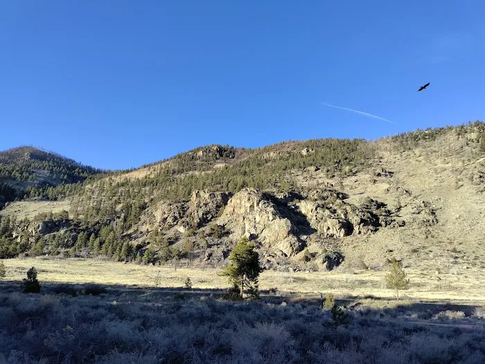 Big Bend Sheep Viewing Area Picture 2